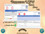 Tennessee, LCSW Hours Tracker, Clinical Supervision Log for Master Social Worker - MSW Student or MSW Graduation Gift